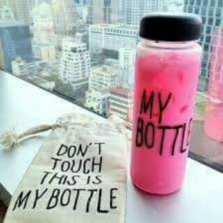 Combo 10 bình my bottle gấu vịt