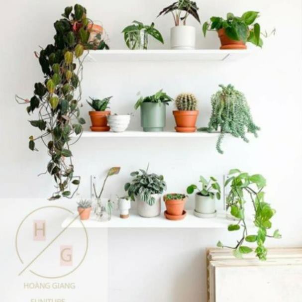 THANH GỖ TREO TƯỜNG GỖ MDF -  RỘNG 20cm