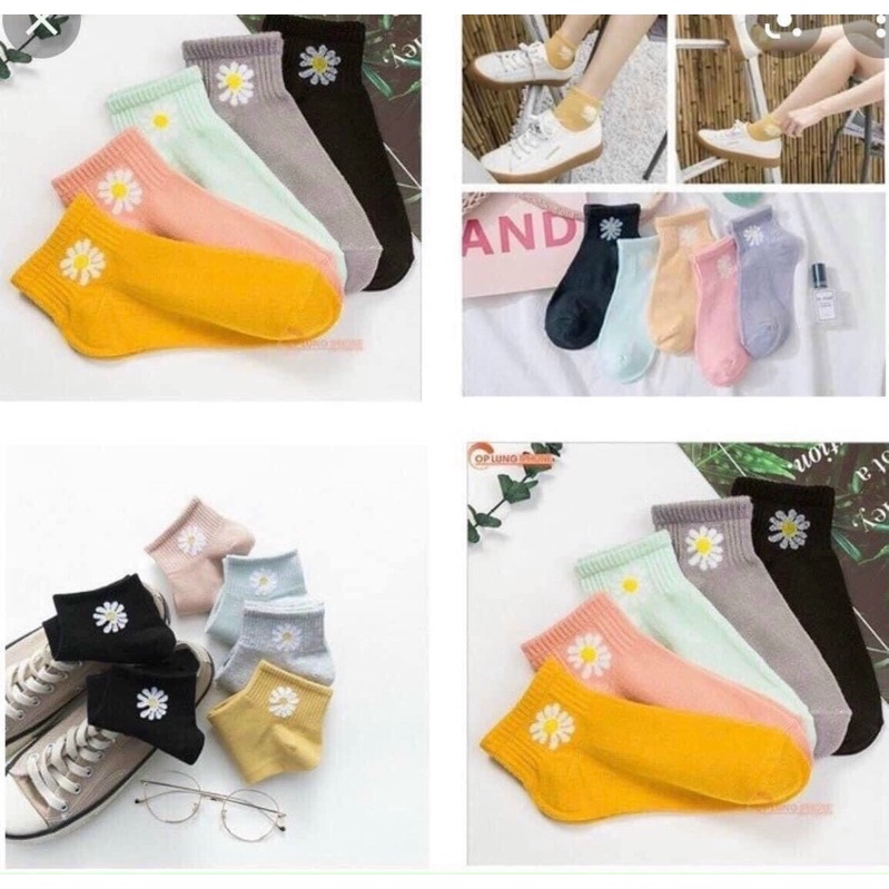 SET 5 ĐÔI VỚ HOA CÚC DẦY ĐẸP