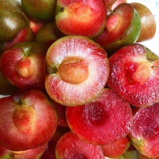 MẬN HÀ NỘI RIM CHUA NGỌT