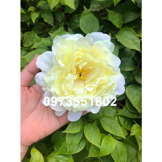 Đầu bông mẫu đơn trang trí size lớn