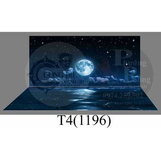 Tranh 3D dán bể cá cảnh hồ thuỷ sinh