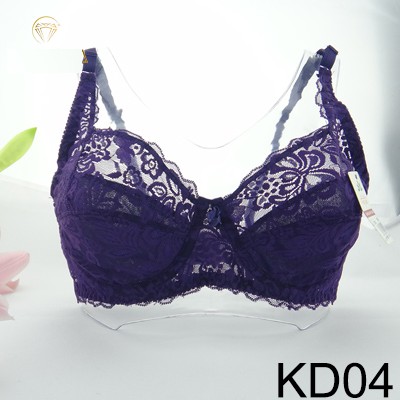 Áo Lót Ren Lụa Mềm Đệm Mỏng 2004, Có Gọng Cao Cấp - ÁO REN KD04 | BigBuy360 - bigbuy360.vn