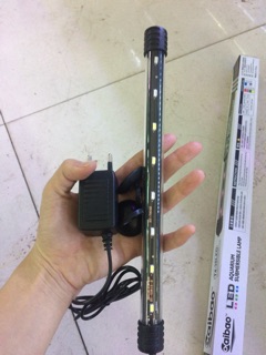 Đèn led cho hồ cá trang trí