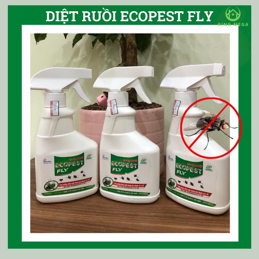 Thuốc diệt ruồi dạng xịt - Hiệu quả 100% - Hoàn tiền nếu không hiệu quả - ECOPEST FLY