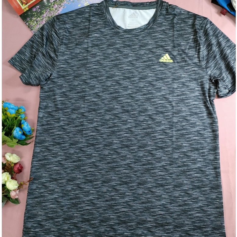 💥SIÊU SALE💥 Áo thun thể thao nam xuất khẩu-Hàng cao cấp chất đẹp (A-ADI) | BigBuy360 - bigbuy360.vn