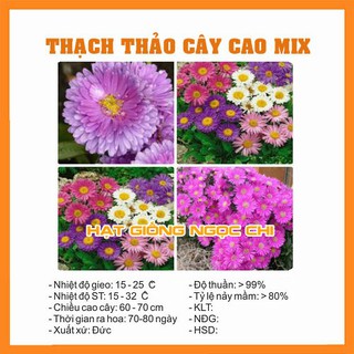 Hạt Giống Hoa Thạch Thảo Cao Mix - 100 Hạt