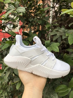 Prophere ( 8 màu )