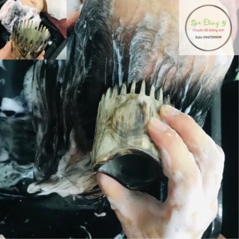 Lược gội đầu dưỡng sinh sừng trâu tròn chải cực êm vai gáy