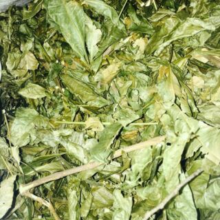 50k 1kg Chè cỏ NGHỆ AN (lợi sữa) nấu cùng chè vằng