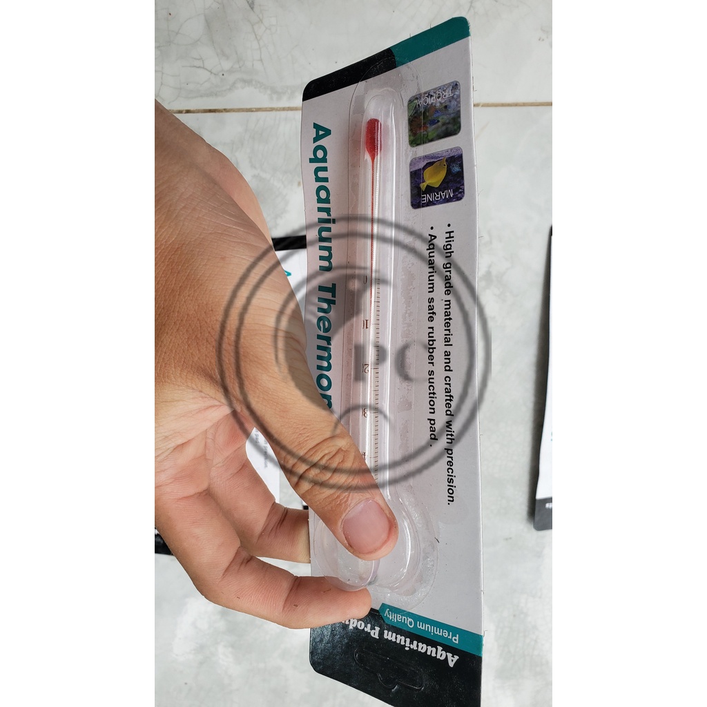 Nhiệt kế thủy ngân đo nhiệt độ nước bể thủy sinh cá tép cảnh