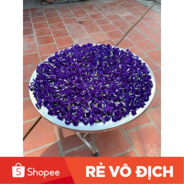 (SALE LỚN) 50 hạt giống hoa đậu biếc