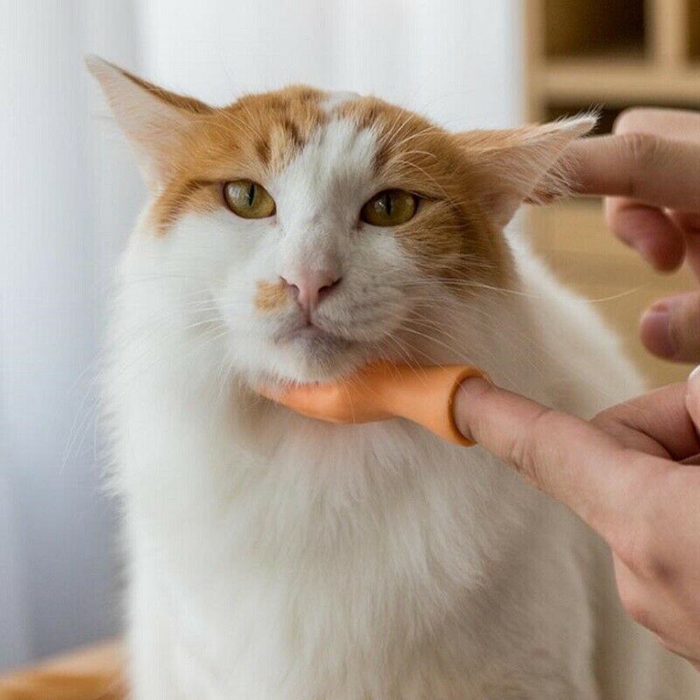 Set 2 Găng Tay Ngón Chân Nhân Tạo Chơi Khăm Bằng Silicone Cho Thú Cưng