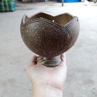 Chậu gáo dừa miệng kiểu có đế