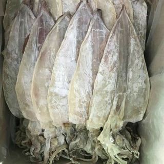 [500g] Khô mực câu Sông Đốc 13-15 con/kg - trắng đẹp, dày mình, ngọt thịt