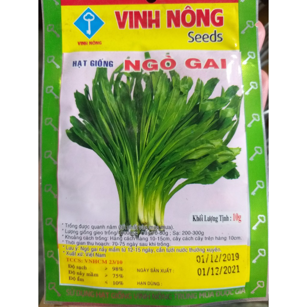 Hạt giống Ngò Gai Lá Dài (10g)