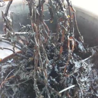 Lá thạch khô Cao Bằng 900g