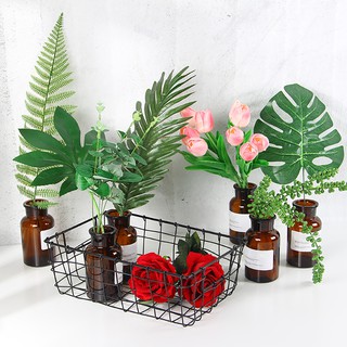 Lá dừa nhân tạo phong cách Bắc Âu cho chụp ảnh