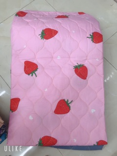 MỀN COTTON POLY Mùa hè 1m6 x 2m