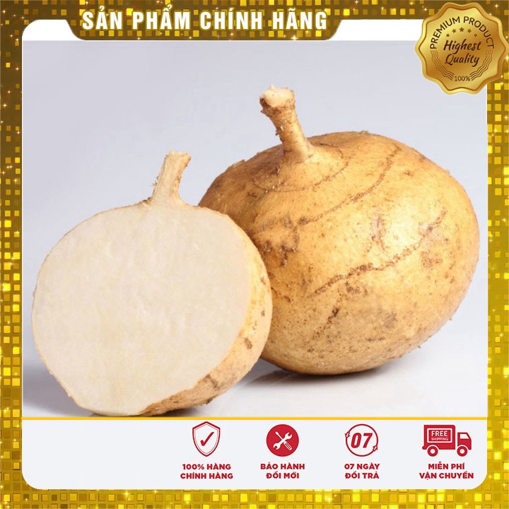 Hạt giống củ đậu cao sản (20 gr)