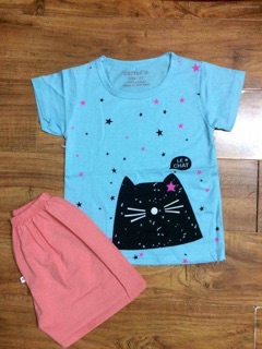 LÔ BỘ CHIM CÁNH CỤT 