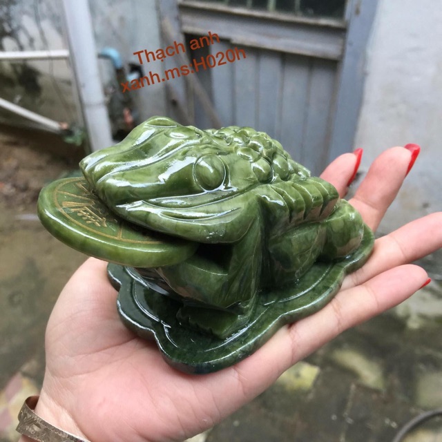Cóc thạch anh( hình thật)