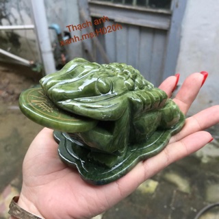 Cóc thạch anh( hình thật)