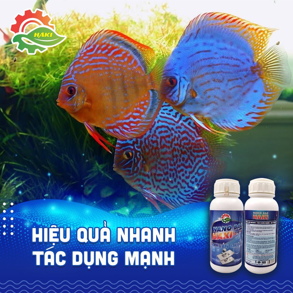 Combo 2 nano bạc haki trị nấm bệnh và làm sạch ao nuôi bể cá 500ml