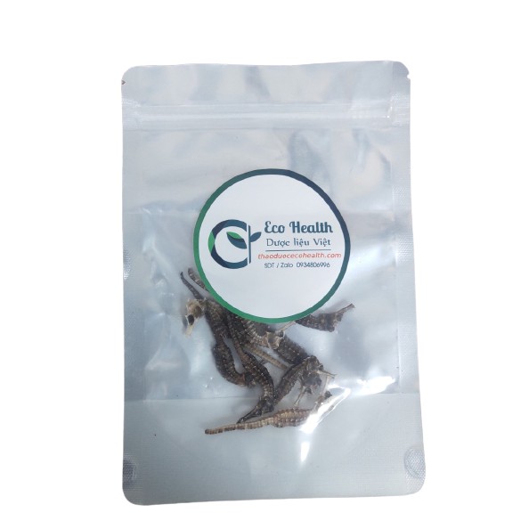 1 con Cá ngựa khô kích thước 6 - 8 cm