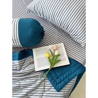 BỘ DRAP GỐI DRAP THUN HÀN QUỐC  CAO CẤP