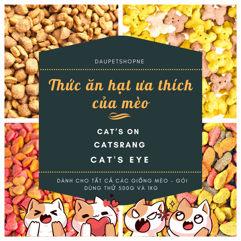 [TỔNG HỢP] Thức ăn hạt khô dành cho mèo các loại