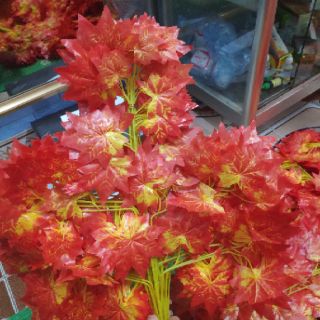 Cành phong lá đỏ