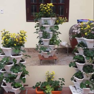 Combo 2 tháp trồng cây 6 tầng Việt Nhật và 1 tháp trồng cây 6 tầng Anh Tú đều kèm đế