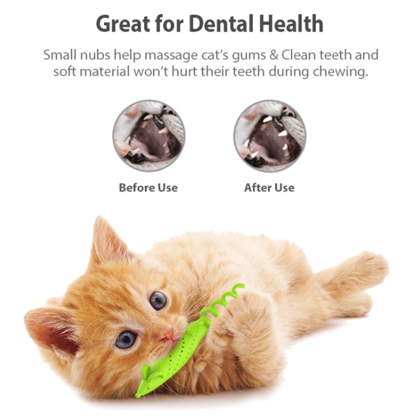 Gigwi Đồ chơi chăm sóc răng miệng làm sạch mảng bám và gặm ngứa răng, thay răng cho mèo