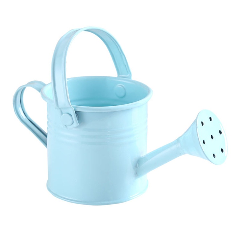 Chậu Trồng Cây Mini Bằng Kim Loại Màu Sắc Ngọt Ngào Có Tay Cầm Tiện Dụng