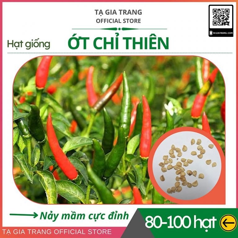 Hạt giống Ớt chỉ thiên F1 siêu cay