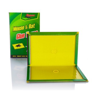 [ Sẵn Hàng, Giao Nhanh ] Keo Dính Chuột Siêu Dính, Keo Bẫy Chuột Cực Kỳ Hiệu Quả, Không Độc Hại