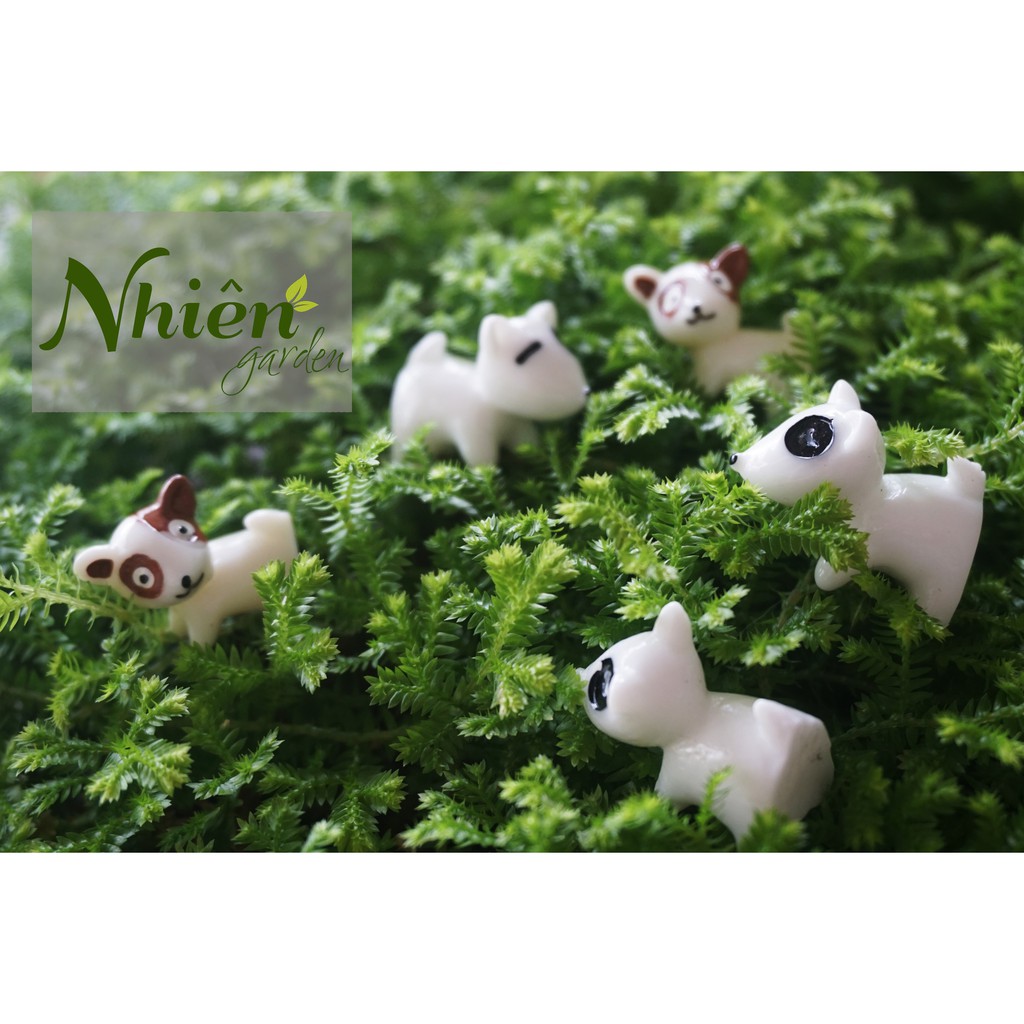 CHÓ HÀNG XÓM - Phụ kiện trang trí tiểu cảnh, Terrarium
