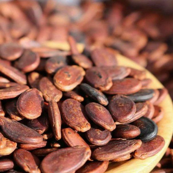 HẠT DƯA NHỎ KHÔNG MÀU LOẠI NGON