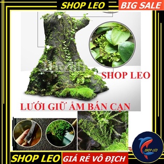 Lưới giữ ẩm bán cạn