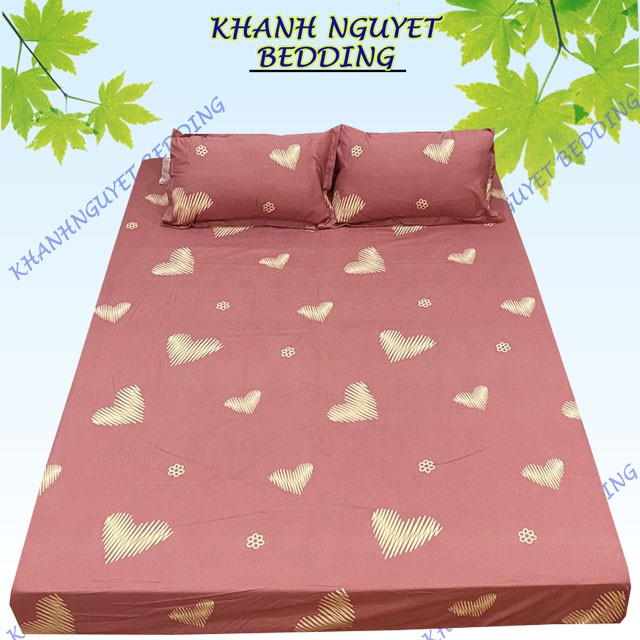 Bộ Ga chun vỏ gối cotton poly m6x2m, m8x2m