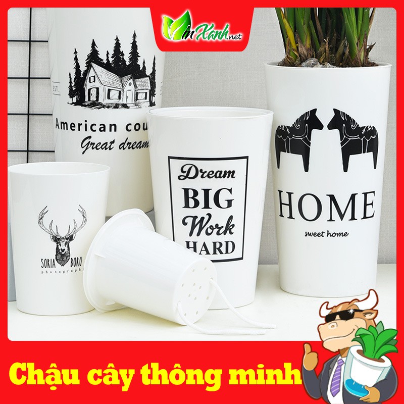 Chậu nhựa trồng cây cao KÈM DÂY tự tưới tự dưỡng thông minh nhựa cao cấp 2 lớp in hình độc đáo