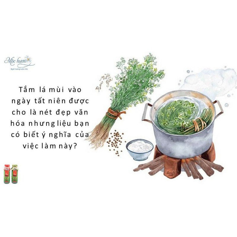 [NƯỚC TẮM GIAO THỪA] NƯỚC TẮM MÙI GIÀ MỘC HƯƠNG - HƯƠNG VỊ TẾT CỔ TRUYỀN