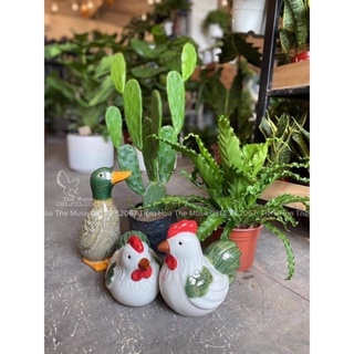 Gà Gốm - Vịt Gốm - Decor Trang Trí Nhà Cửa