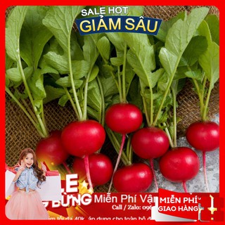 Hạt giống củ cải đỏ f1 - 50 hạt / gói