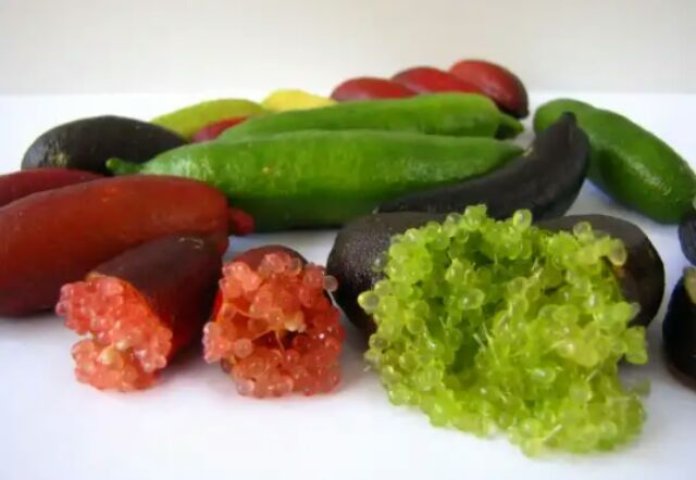 Cây chanh ngón tay