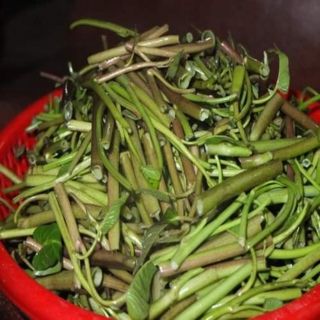 RAU MUỐNG ĐỒNG CỌNG TÍM VIỆT