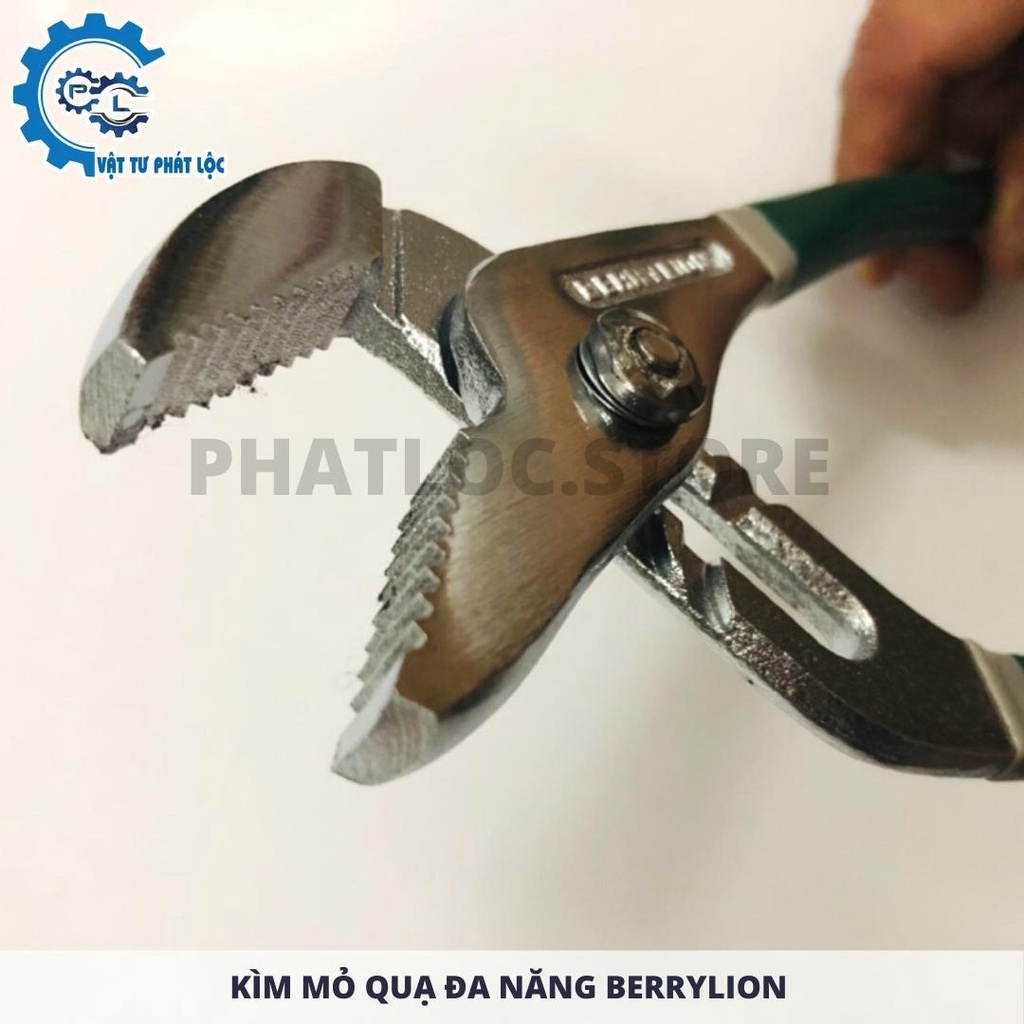 Kìm mỏ quạ Berylion 8 inch 10 inch 12inch