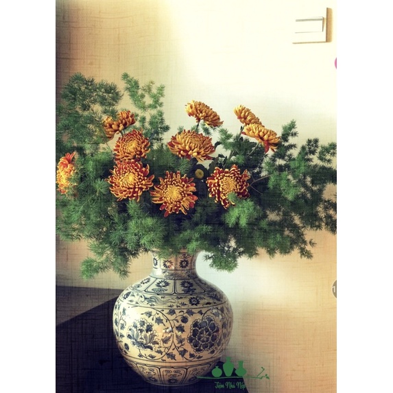 BÌNH PHƯỢNG HOÀNG 25cm