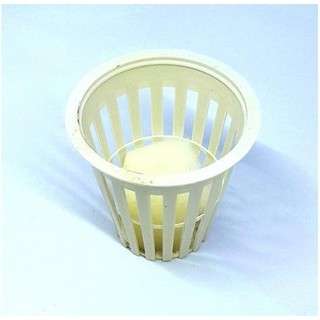 Combo 50 Rọ Thủy Canh 65x65x40